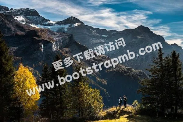 ⊞ Portfolio - 世界杯直播yumuyun